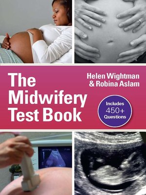 cover image of The Midwifery Testbook